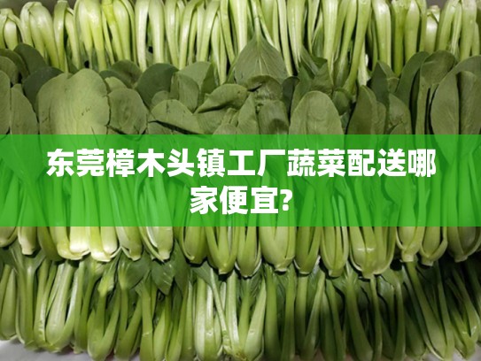 樟木頭鎮工廠蔬菜配送，哪家更便宜又新鮮？